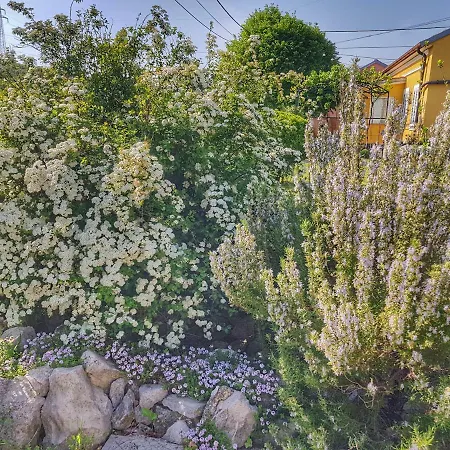 Ferienhaus Rijeka Krasica (Primorje-Gorski Kotar)